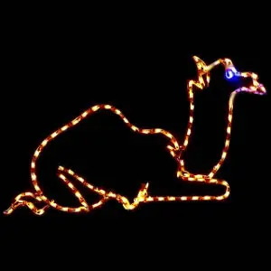 Camel-shaped neon light display