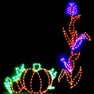 Pumpkin and corn light display