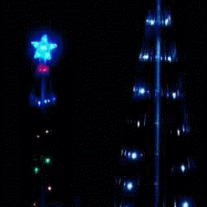 Glowing Christmas trees in the dark