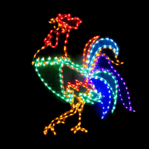 Colorful rooster lights on black background