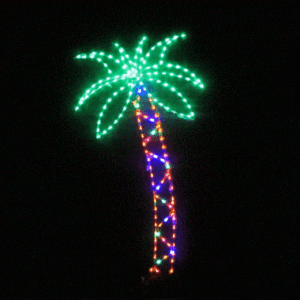 Illuminated palm tree against dark background